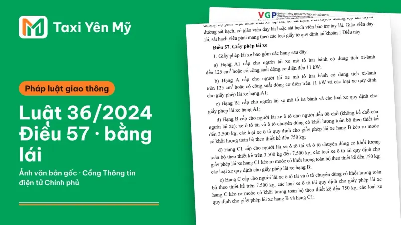 Hạng giấy phép lái xe mới A1, A, B, C1, D...: lái được xe gì, bằng A1, B2 cũ có phải đổi không?