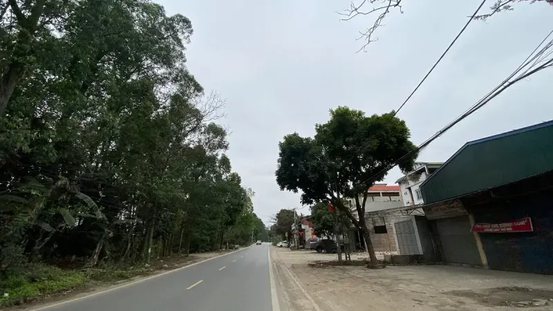 Vượt xe trên quốc lộ, đường tỉnh hai làn: khi nào được vượt, khi nào cấm và kỹ năng vượt an toàn